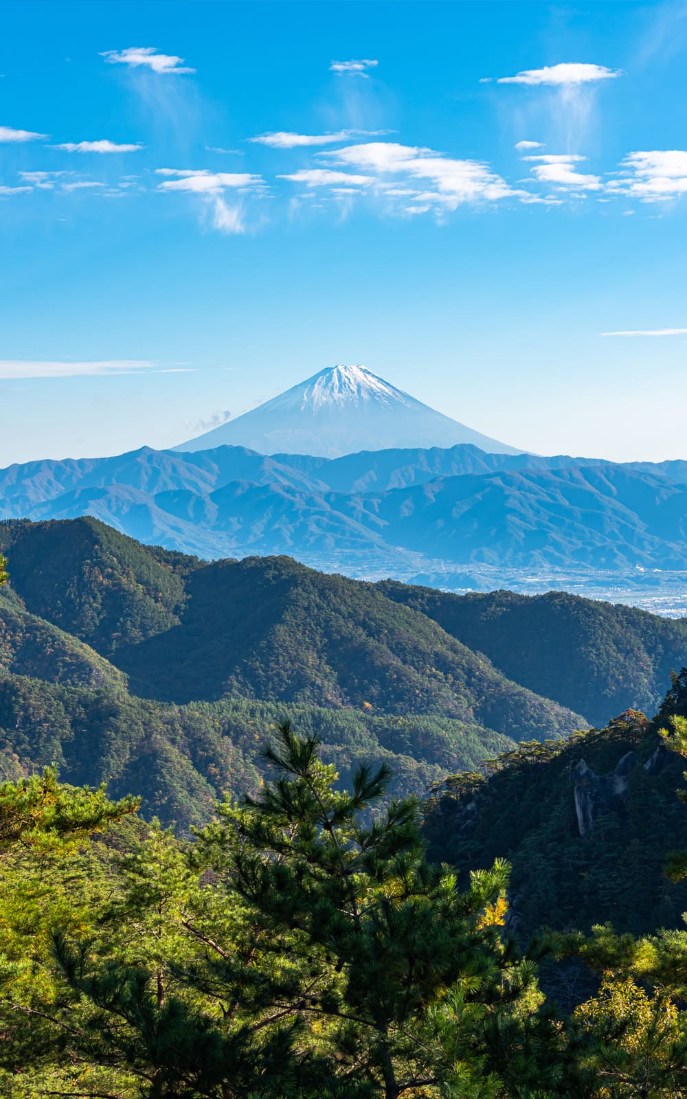 Mt.fuji