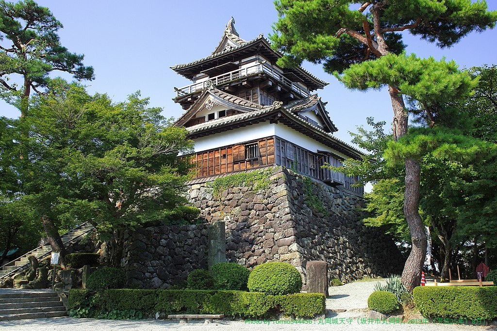 Maruoka castle